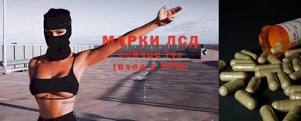 стафф Коряжма
