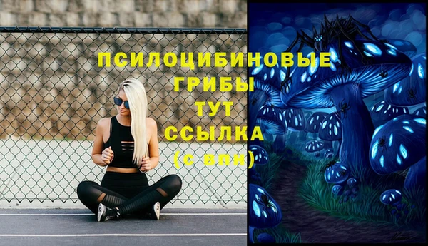 твердый Костерёво