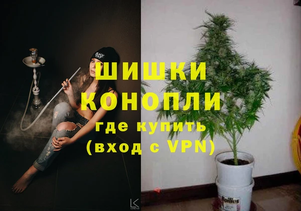стафф Коряжма