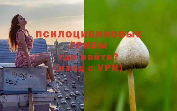 альфа пвп Корсаков