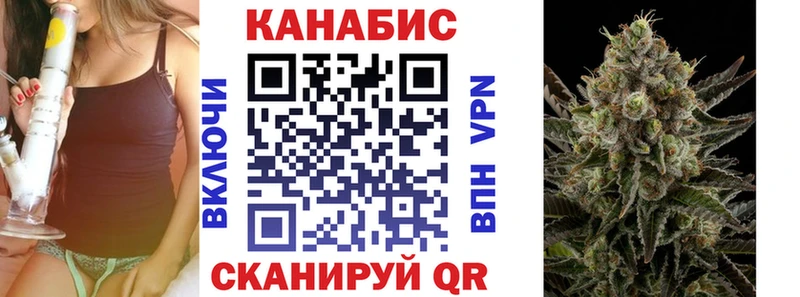 Купить закладки  Бологое  Бошки Шишки гибрид 